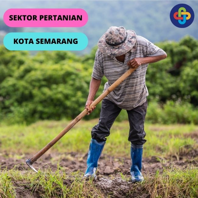 6 Faktor yang Mempengaruhi Pertanian Kota Semarang 